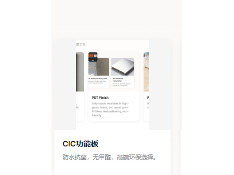 CIC functional board